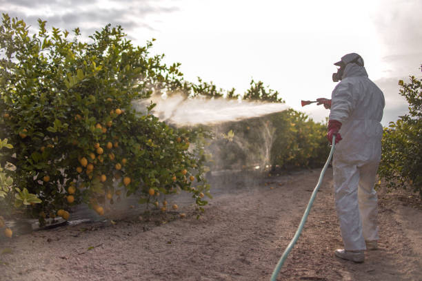 Best Affordable Pest Control Services  in Tamarac, FL