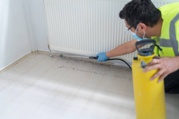 Best Residential Pest Control  in Tamarac, FL